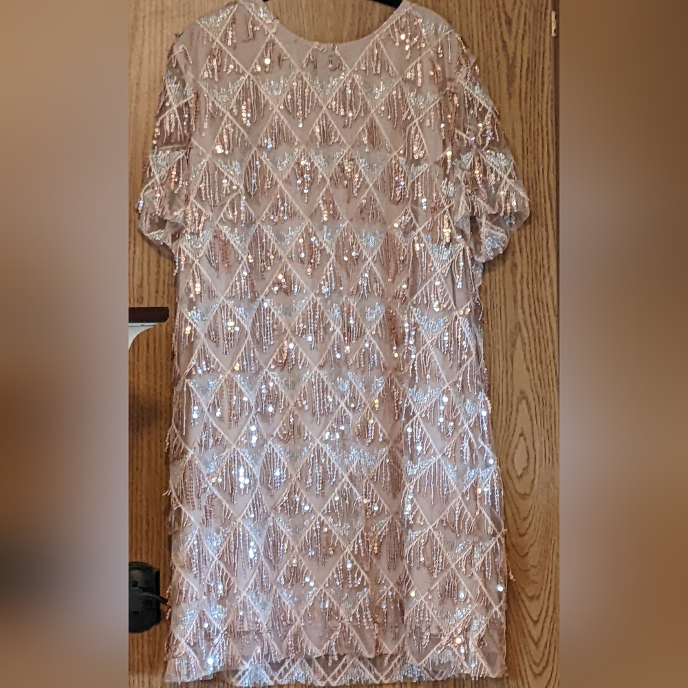Chic Soul Sequin Dress Size 3X